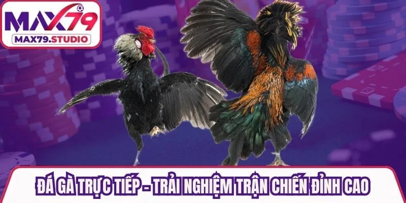đá gà trực tiếp